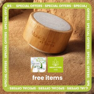 Ginkgo Free Offer Bundle