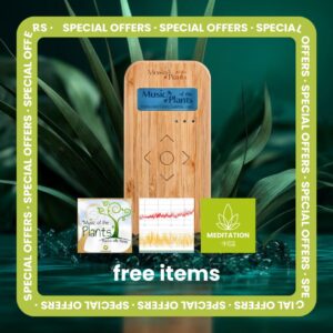 Bamboo M Free Offer Bundle